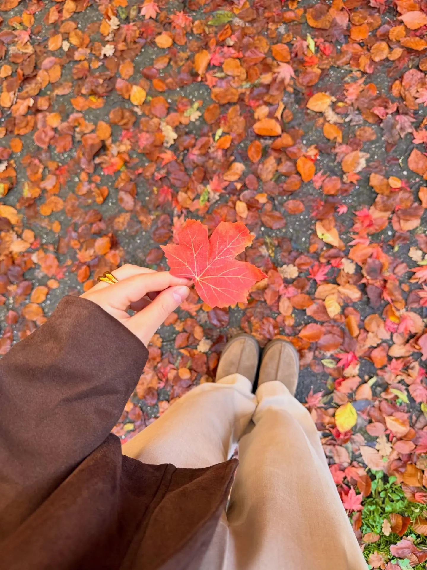 Velours et thé brûlant - Image 9